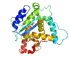 protein-1.png